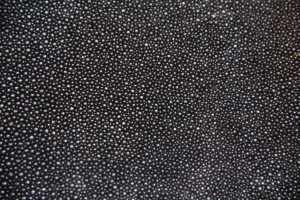 Shagreen-patterned emerald vinyl embedded in clear resin